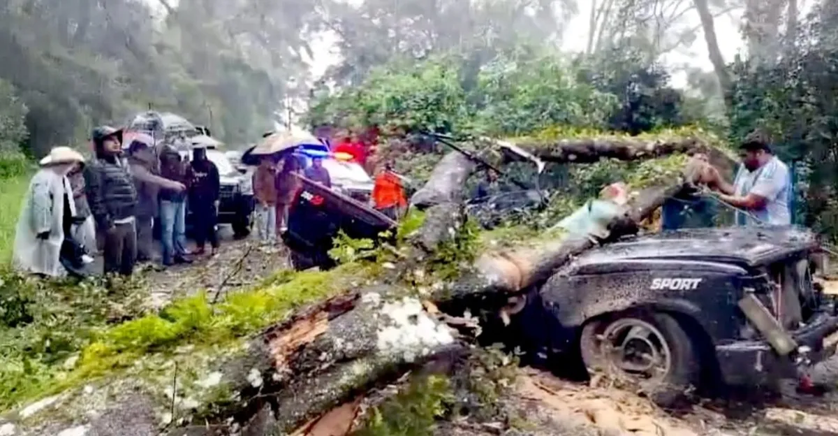 El conductor y su esposa fallecieron, y sus dos hijos quedaron atrapados en los asientos traseros