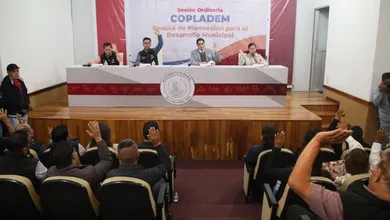 COPLADEM Mineral de la Reforma