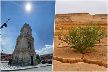Alcaldía de Pachuca y UAEH trabajarán en programa de cambio climático