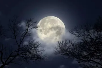 Prepárate para ver la Luna del Cazador y la última superluna del 2024