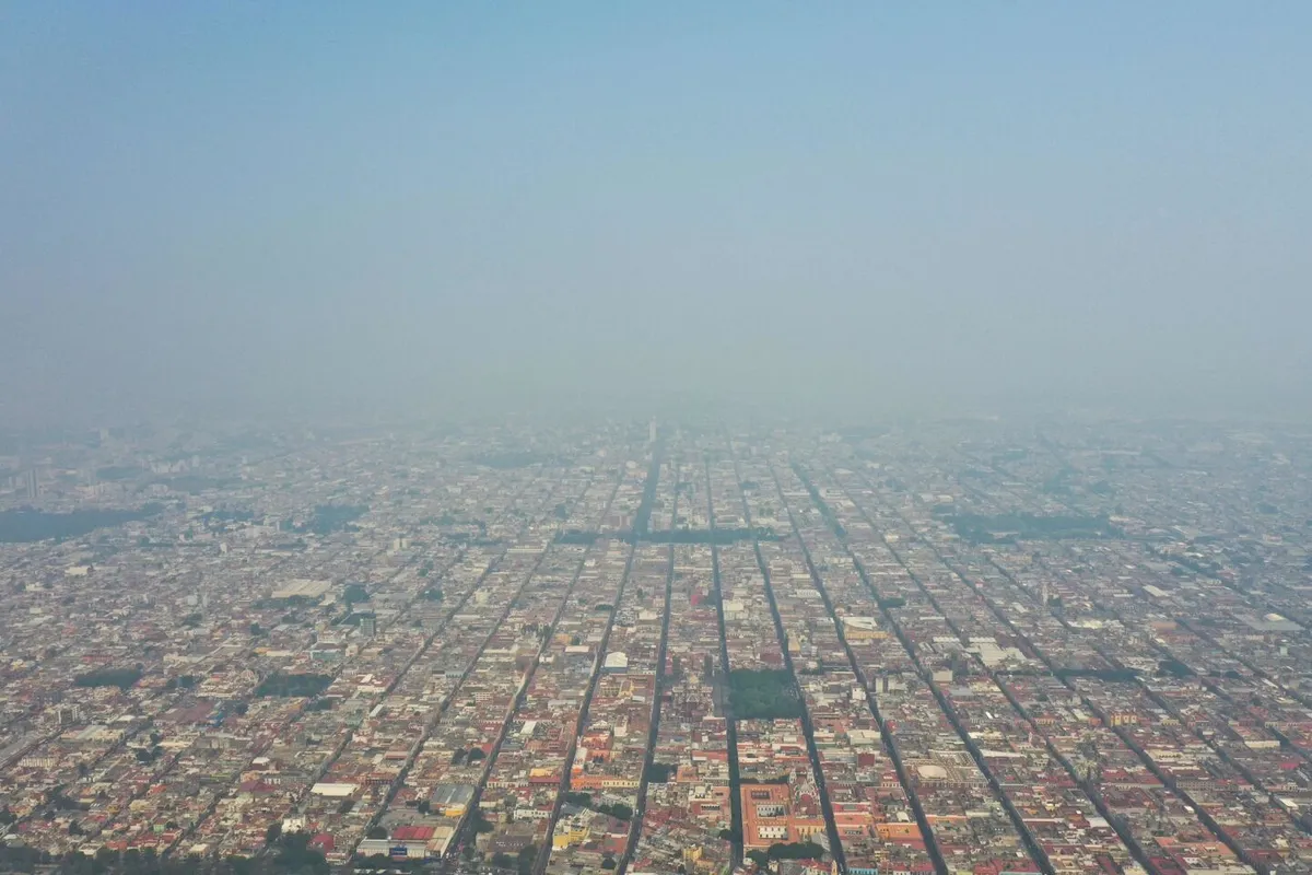 Atitalaquia busca contrarrestar mala calidad del aire con árboles