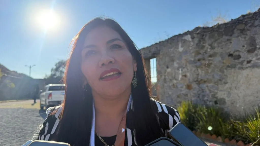 Alcaldesa aclara estatus de parque fotovoltaico en Singuilucan