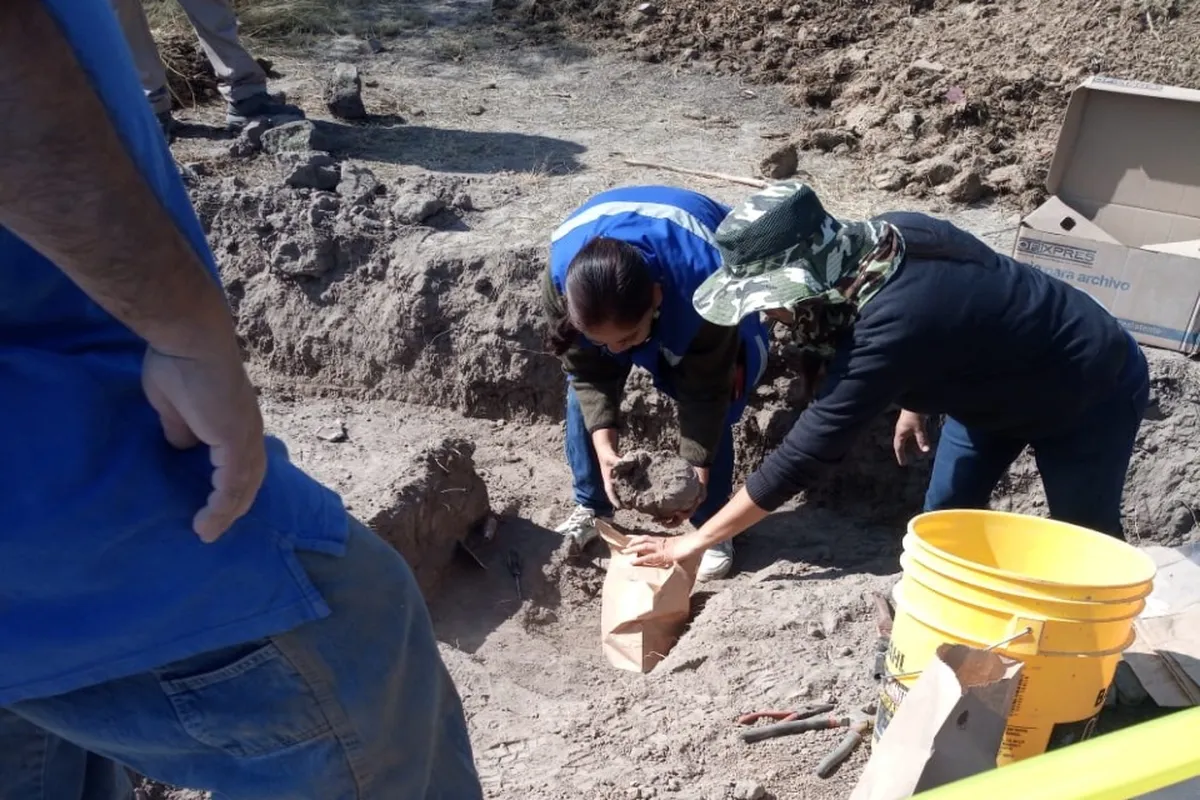 Localizan cráneo en Ajacuba con más de mil años de antigüedad