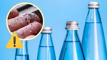 Las botellas de vidrio, consideradas más ecológicas, podrían contener hasta 50 veces más microplásticos que las de plástico.