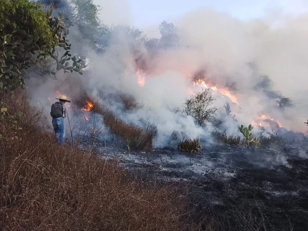 Controlan incendio en la Zona Arqueológica de Tula; consumió 25 hectáreas