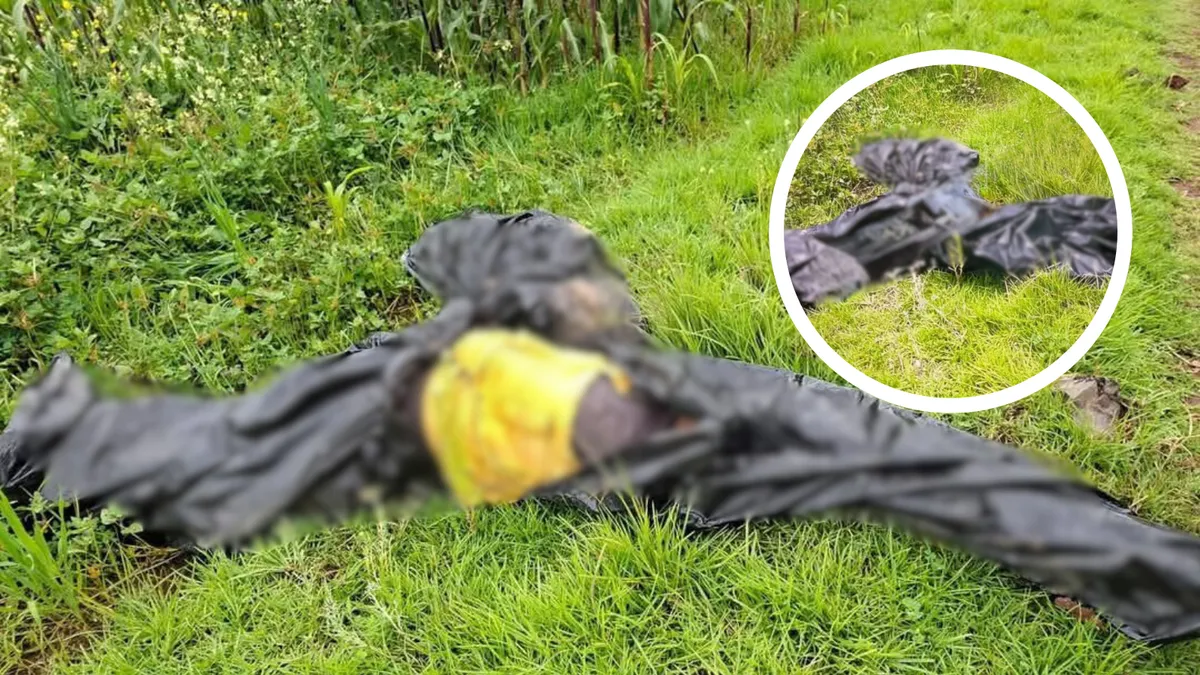 Bolsas negras aseguradas por autoridades en zona rural en Singuilucan