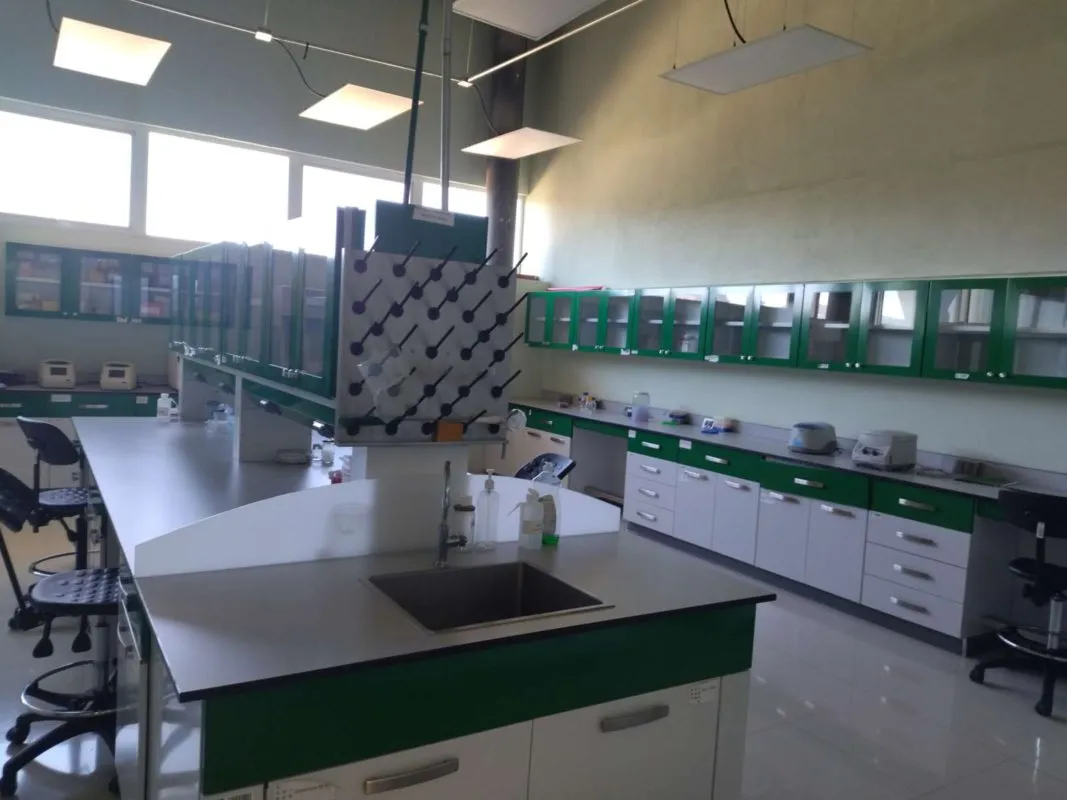 Ciencia y Tecnología en Hidalgo: innovación y desarrollo para un futuro sostenible