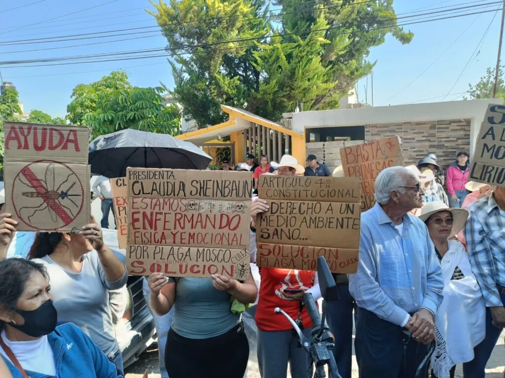 Pobladores de la Endhó piden a Semarnat rentar 10 trituradoras contra lirio y mosco culex