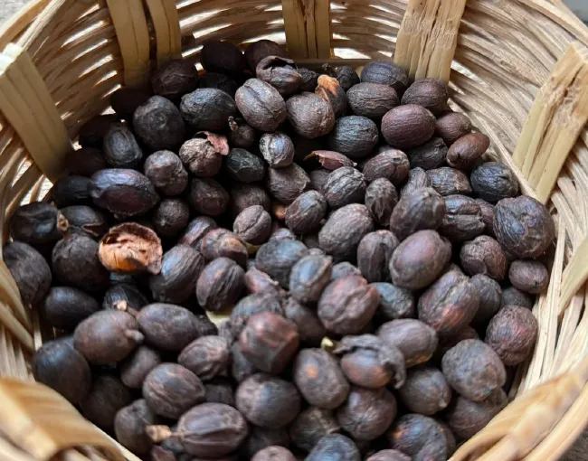 Alma Tovar alcanza su sueño de exportar su café a Francia