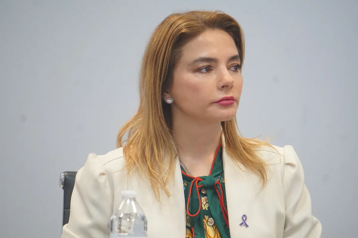 Consejera del INE opina sobre la publicación del Plan B en el DOF