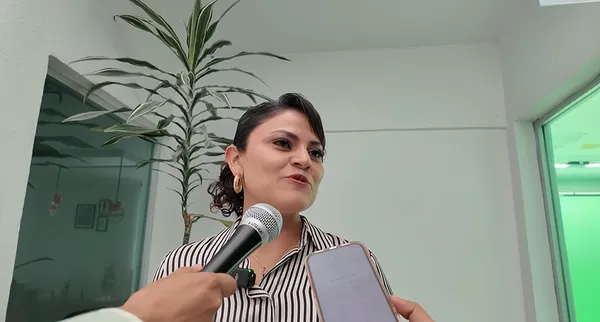 Diputada diputada Diana Rangel Zúñiga