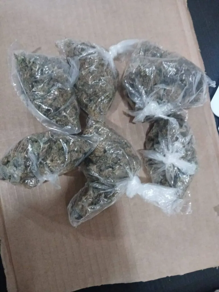 Capturan a presuntos ladrones y narcomenudistas en Tepeji