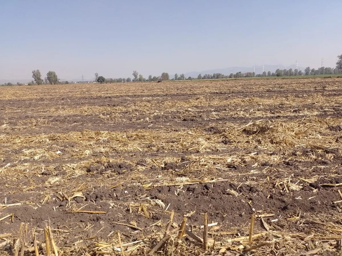 Hidalgo: lluvias disminuyeron ligeramente la sequía moderada