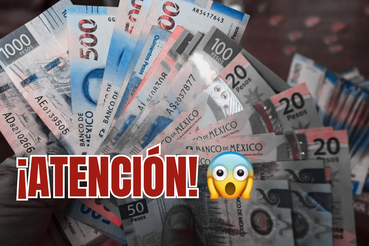 ¡Atención profesionistas! Bienestar abrió vacantes con sueldos de hasta 85 mil pesos mensuales. Entérate de los detalles aquí.