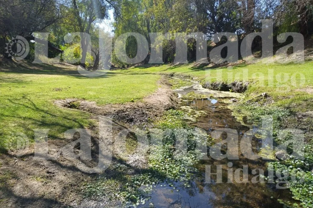 Semarnat inicia proyecto comunitario de restauración en la cuenca del Tula