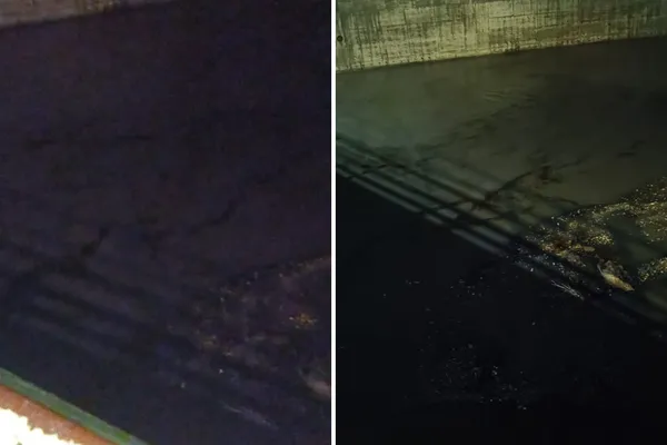 Videos y denuncias ciudadanas alertaron sobre cambios en el agua del río Tula. Autoridades ambientales ya revisan el caso.