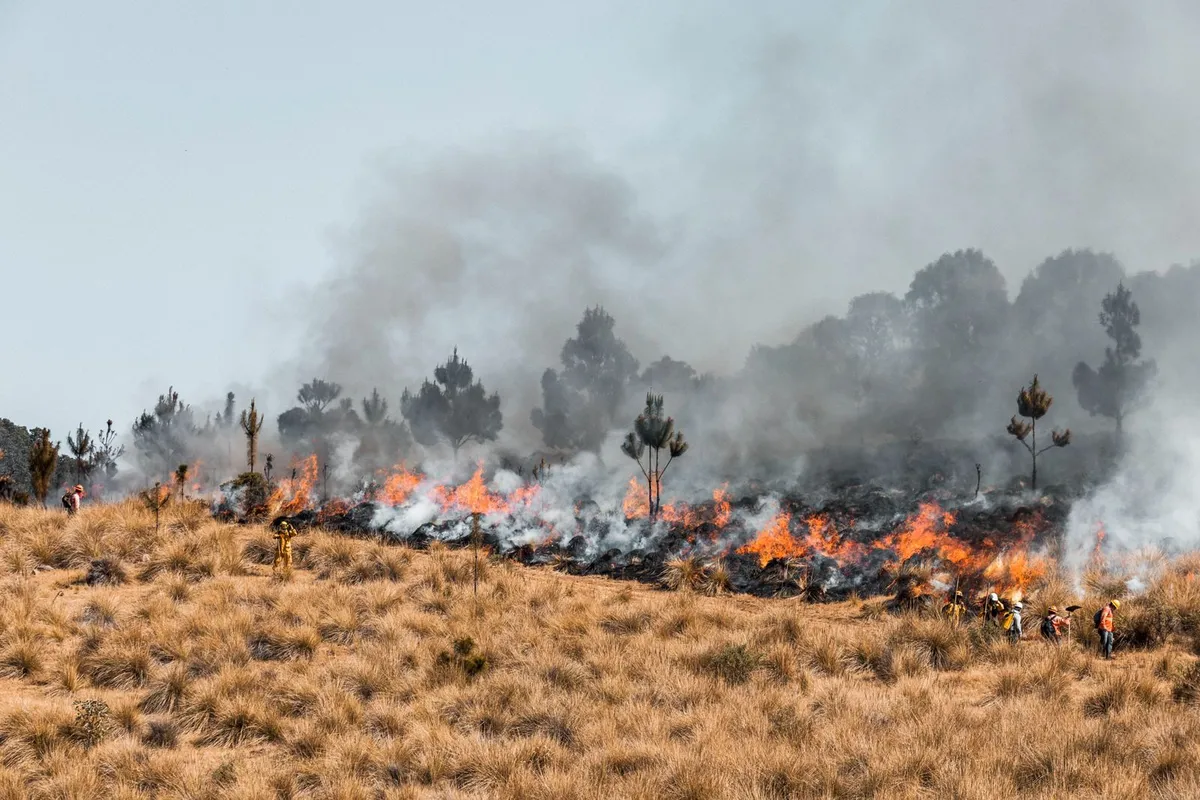 Incendio en Huichapan