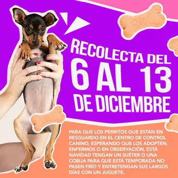 Colecta para centro de control caníno comunitario