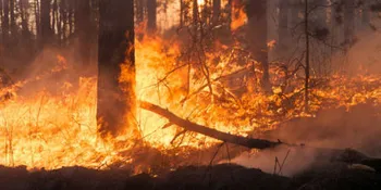 Incendio en Ixmiquilpan moviliza a cuerpos de emergencia