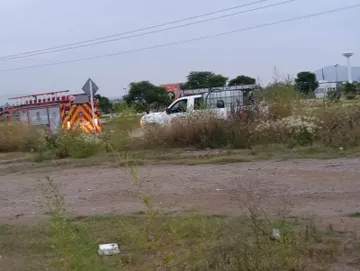 Jauría pone en alerta a vecinos de Sadasi tras ataques en Tizayuca