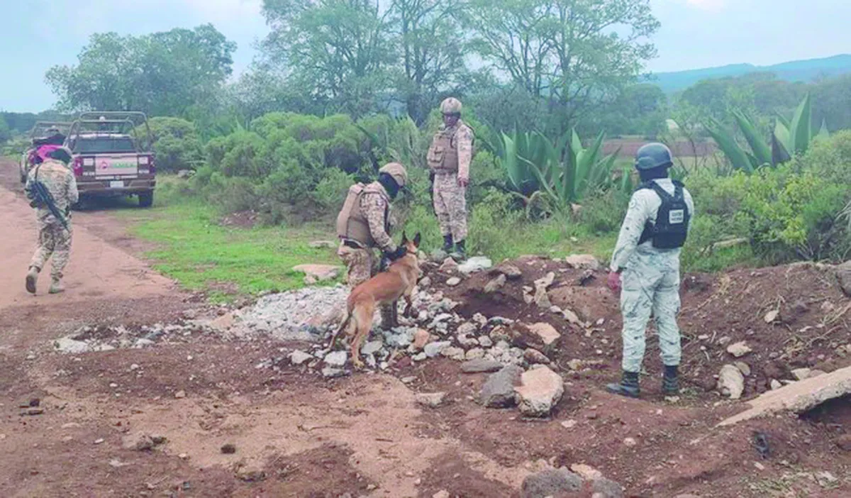 En región Tulancingo hallan decena de huachitúneles