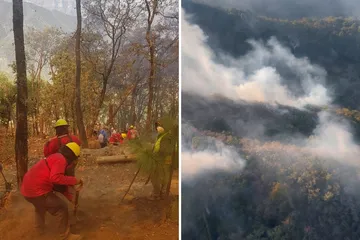 Incendio en Nicolás Flores ya está 100% controlado