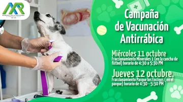 Mineral de la Reforma: Campaña de vacunación gratuita para mascotas