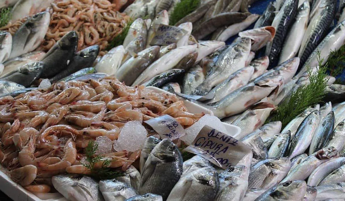 Revelan importación de pescado y marisco con peso disfrazado por hielo añadido