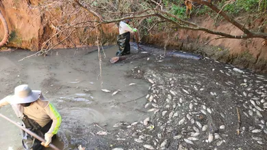 Tras la muerte de miles de peces, ya preparan acciones para recuperar uno de los ecosistemas más importantes de la región