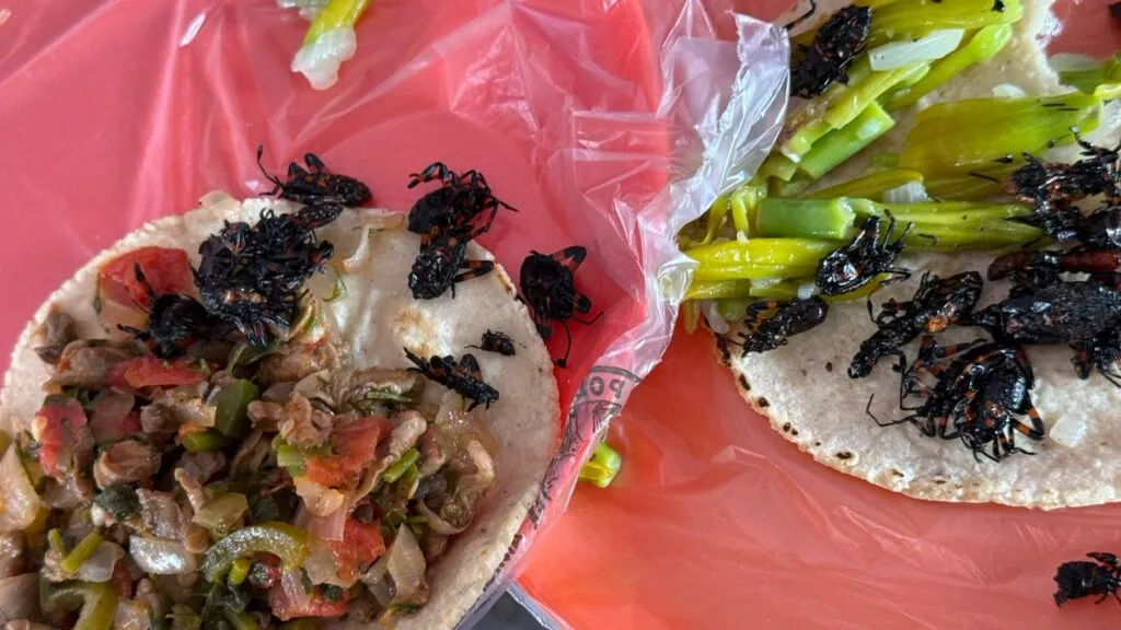 Doña Tere: una historia a fuego lento