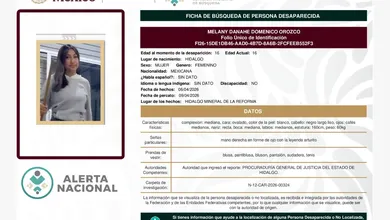 Alerta Amber Melany Danahe Domenico