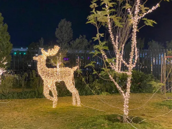 Tras el retiro de iluminación temporal, anuncian 15 mdp para fortalecer espacios del Parque Cultural Hidalguense.