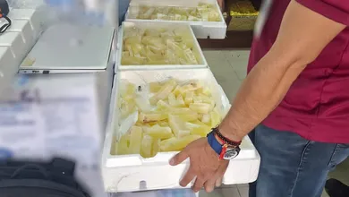 Acitrón asegurado por Profepa en establecimientos de Pachuca.
