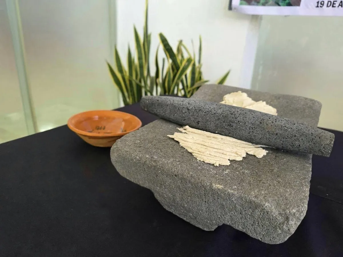 Concurso de Molenderas de Metate en Molango: cultura y gastronomía | Fecha y actividades