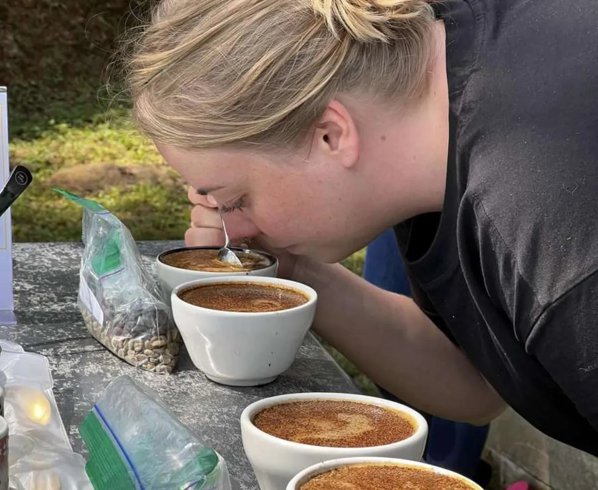 Catan café de Tenango de Doria para llevarlo a Europa