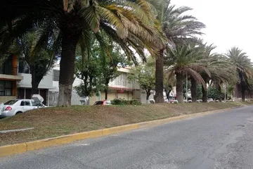 Licitan obra de pavimentación en la colonia Periodistas; trabajos tardarán medio año