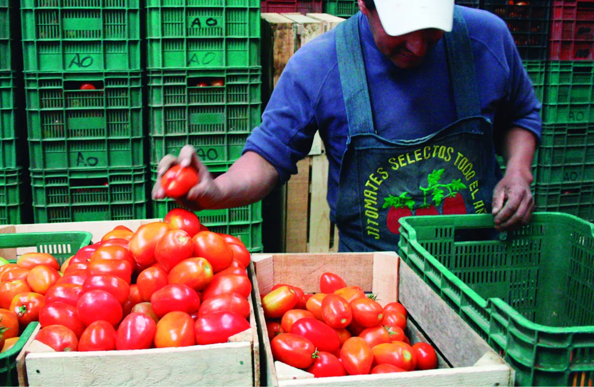 Exportaciones en Hidalgo disminuyeron en tercer trimestre de 2023