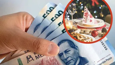 Antes del 20 de diciembre debe llegar tu aguinaldo 2025. Conoce quiénes reciben más días y qué hacer si no te lo pagan.