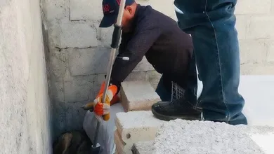 Un coyote quedó atrapado dentro de una casa en Tula y activó un operativo ambiental para su rescate