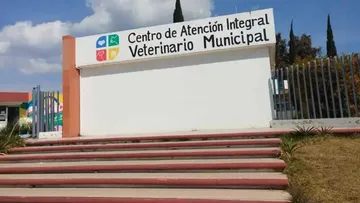 Centro Veterinario de Pachuca