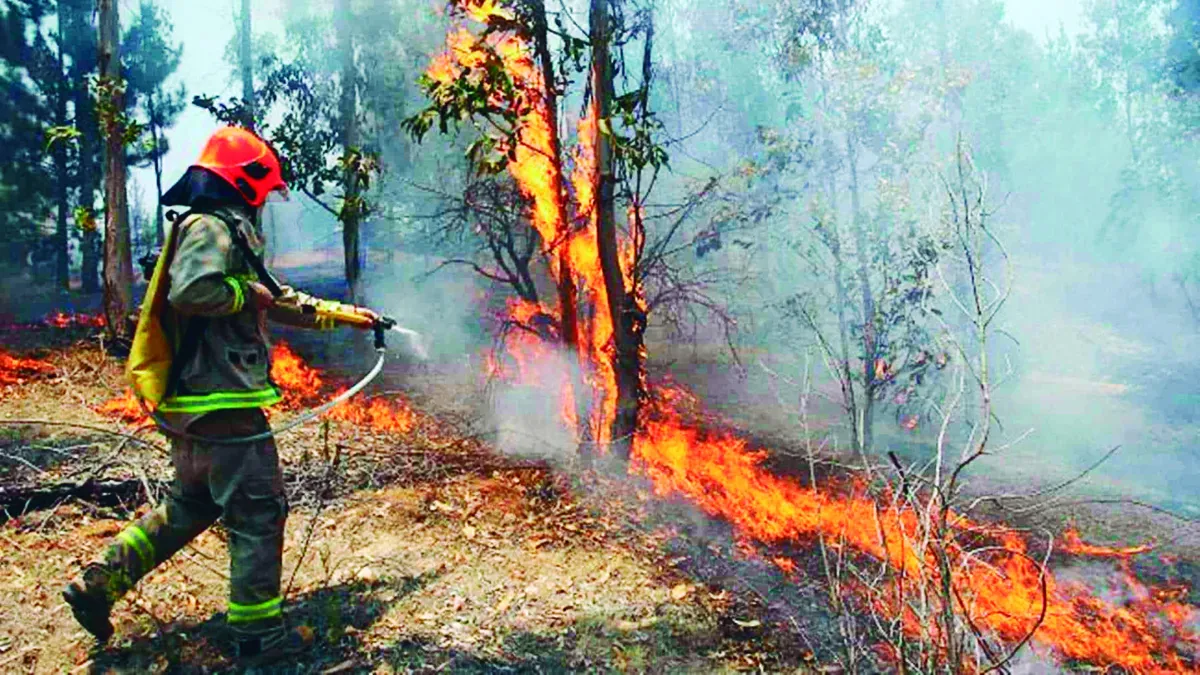 Aumentan casi al doble los incendios forestales en Hidalgo