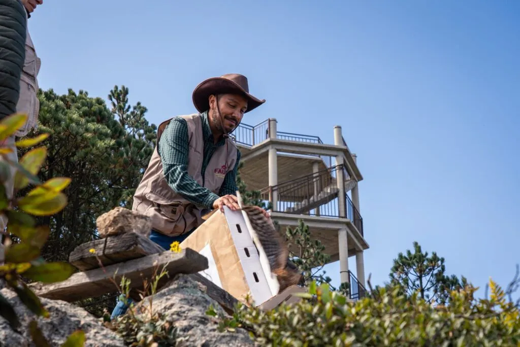 Liberan fauna rehabilitada en área natural de Epazoyucan