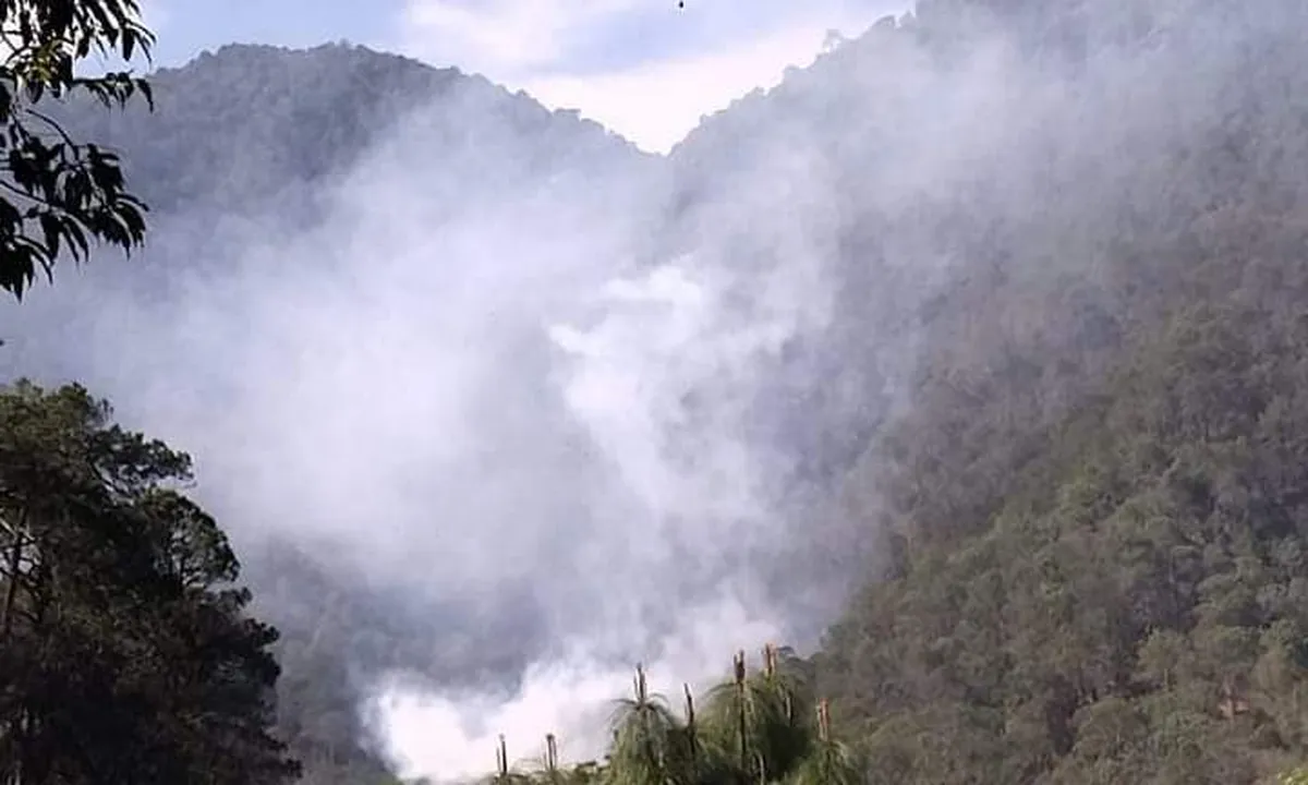 Reportan incendio en el Parque Nacional Los Mármoles en Zimapán