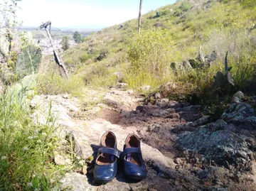 Huapalcalco