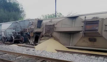 Tren cargado con sorgo descarrila en Bojay, Atitalaquia