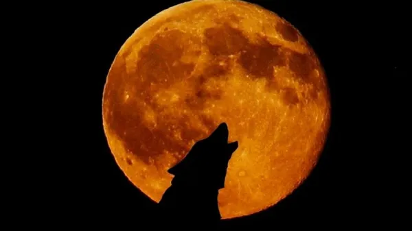 La luna del lobo dará la bienvenida a 2026 con más brillo y un tamaño fuera de lo común. Así podrás observarla.