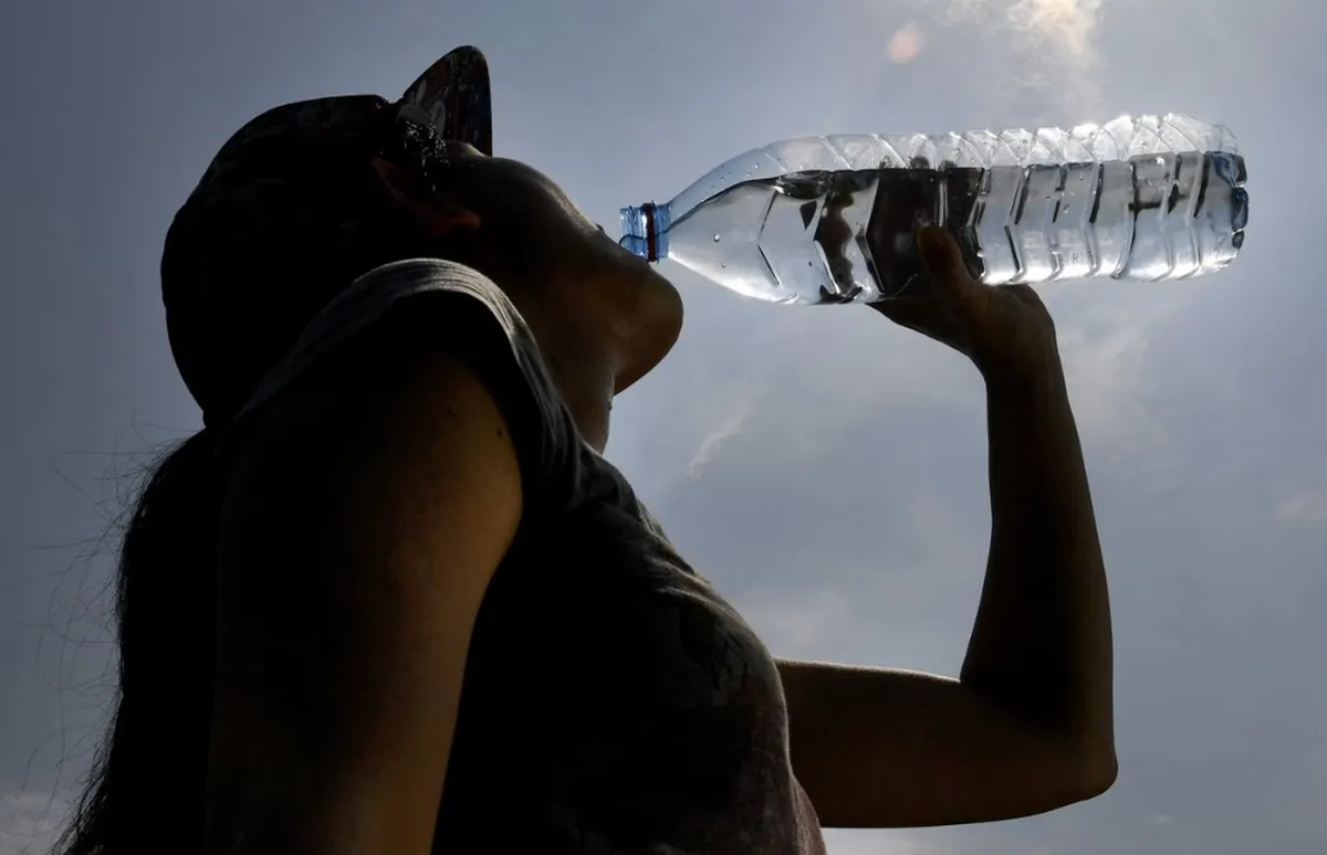 Los consumidores diarios de agua embotellada ingieren más de 90 mil partículas microplásticas más que las personas que beben agua del grifo