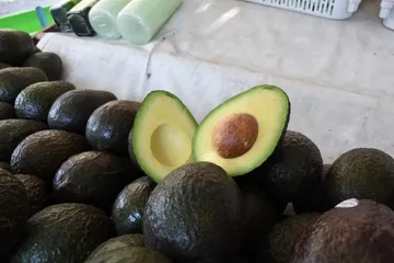 Foto de aguacate mexicano