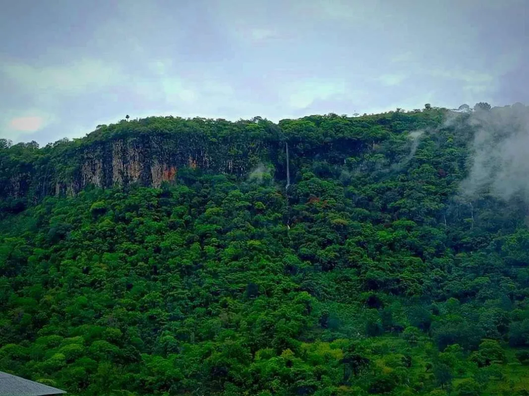 Cascadas en Hidalgo: un resurgir natural tras las lluvias. VIDEOS