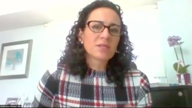 Guillermina Vázquez entrevista virtual